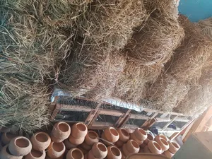 Animal Hay Supplier
