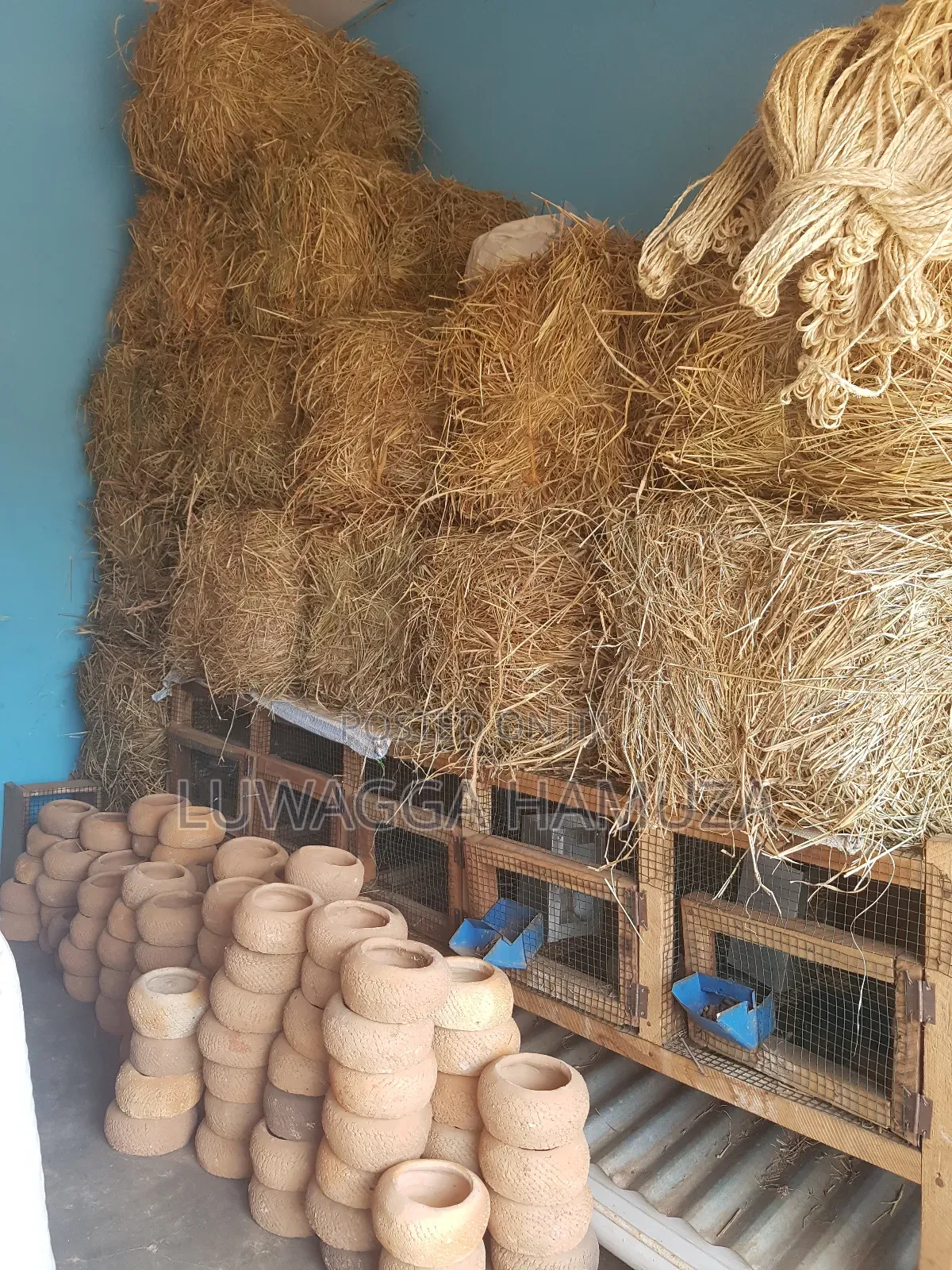 Animal Hay Supplier