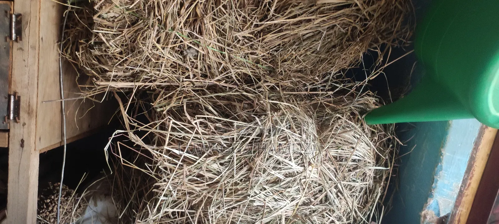 Animal Hay Supplier