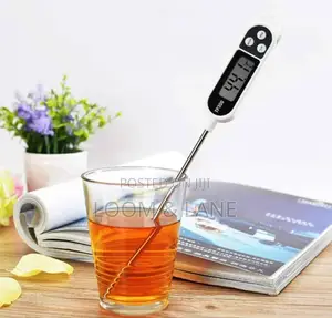 Real Kitchen Food Thermometer