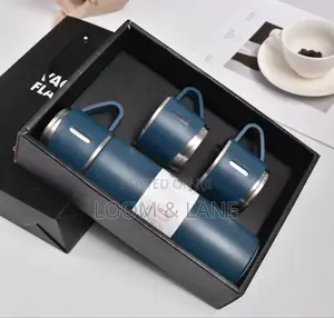 Hot and Cold Double Wall Stainless Steel Sports Vacuum Flask
