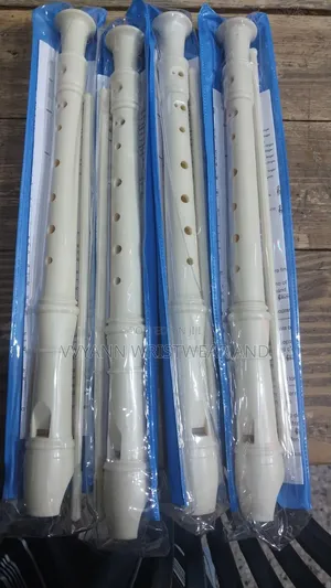 Music Instrument