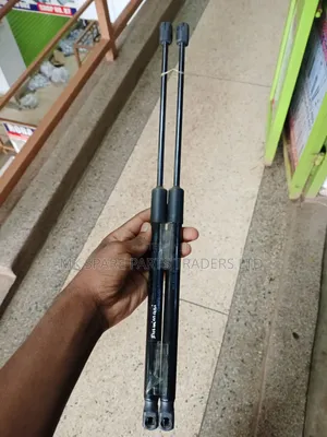 Bonnet Shocks