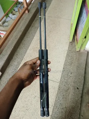 Bonnet Shocks