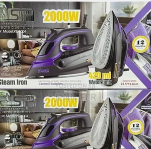 DSP Steam Iron