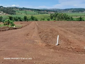 Prime Plots for Sale at Maya Beverly Hills Mega Land Estate.