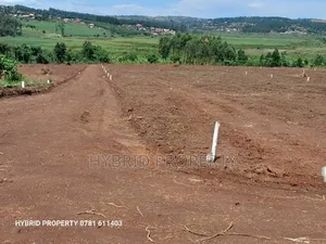 Prime Plots for Sale at Maya Beverly Hills Mega Land Estate.