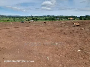 Prime Plots for Sale at Maya Beverly Hills Mega Land Estate.