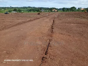 Prime Plots for Sale at Maya Beverly Hills Mega Land Estate.
