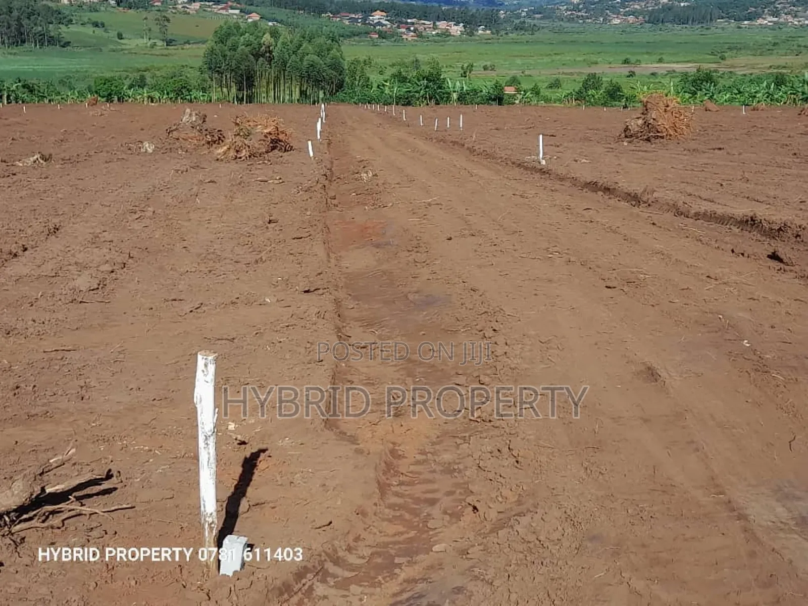 Prime Plots for Sale at Maya Beverly Hills Mega Land Estate.