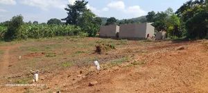 Prime Plots for Sale at Mpigi~Lungala [Bunamweeri]~Masaka Rd