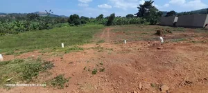 Prime Plots for Sale at Mpigi~Lungala [Bunamweeri]~Masaka Rd