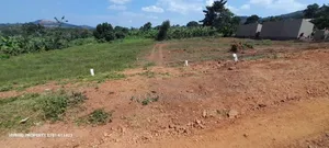 Prime Plots for Sale at Mpigi~Lungala [Bunamweeri]~Masaka Rd