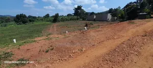 Prime Plots for Sale at Mpigi~Lungala [Bunamweeri]~Masaka Rd