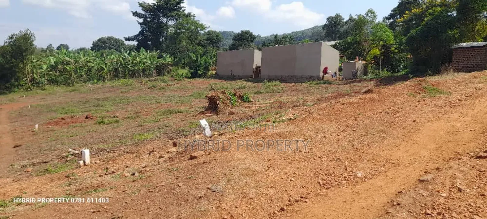 Prime Plots for Sale at Mpigi~Lungala [Bunamweeri]~Masaka Rd