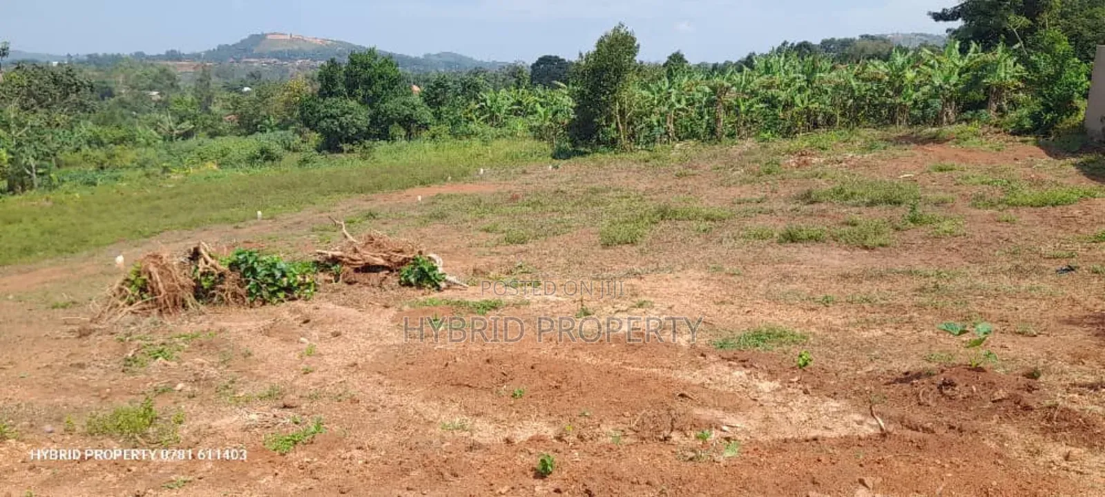 Prime Plots for Sale at Mpigi~Lungala [Bunamweeri]~Masaka Rd