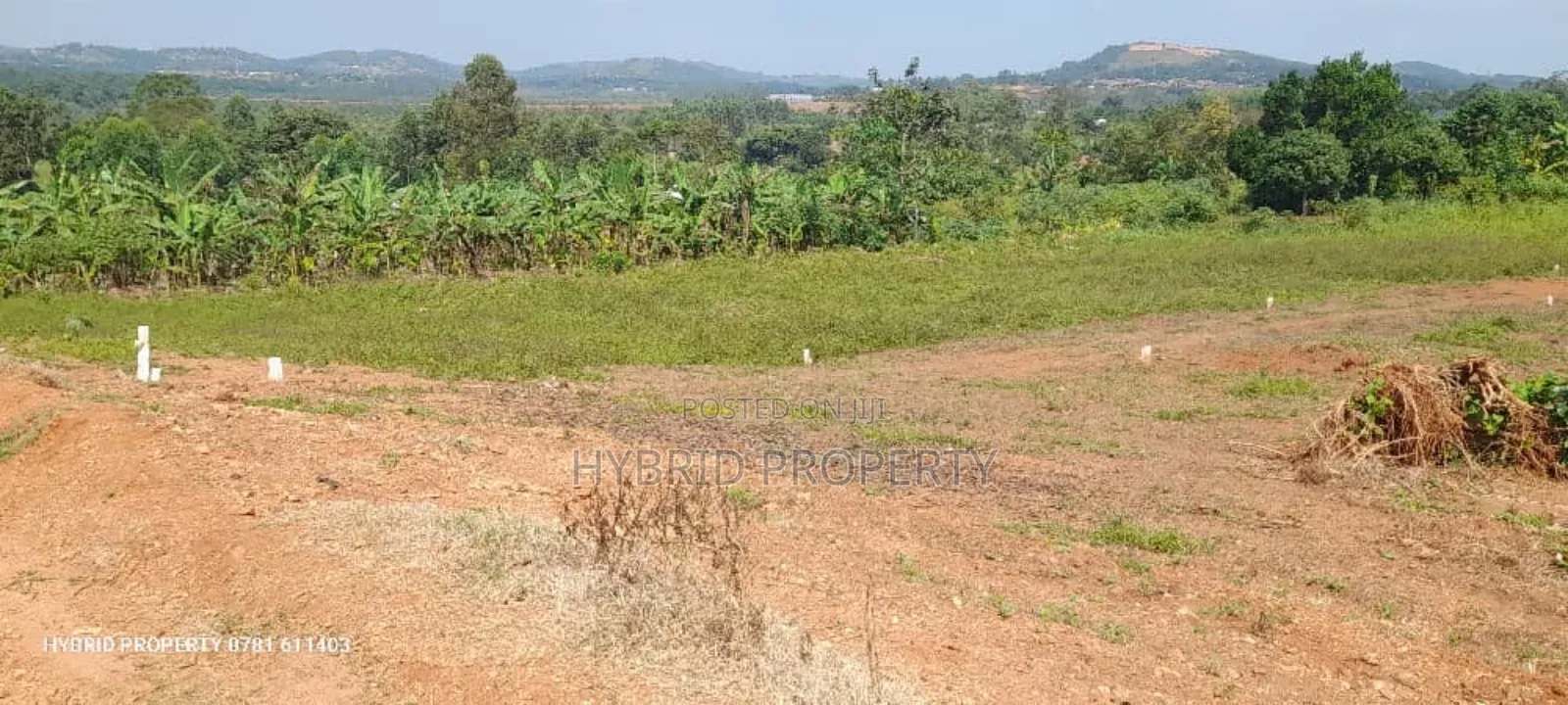 Prime Plots for Sale at Mpigi~Lungala [Bunamweeri]~Masaka Rd