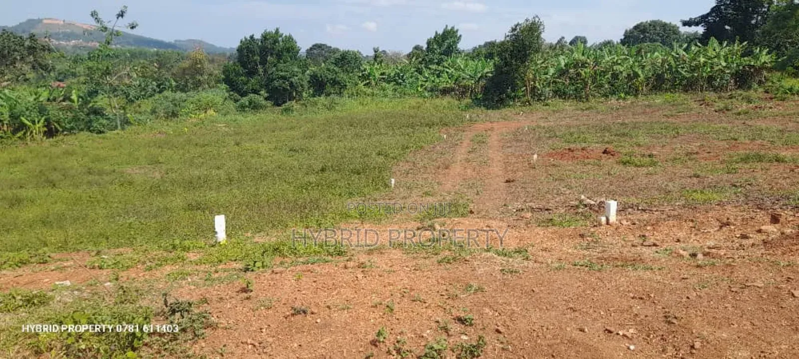 Prime Plots for Sale at Mpigi~Lungala [Bunamweeri]~Masaka Rd