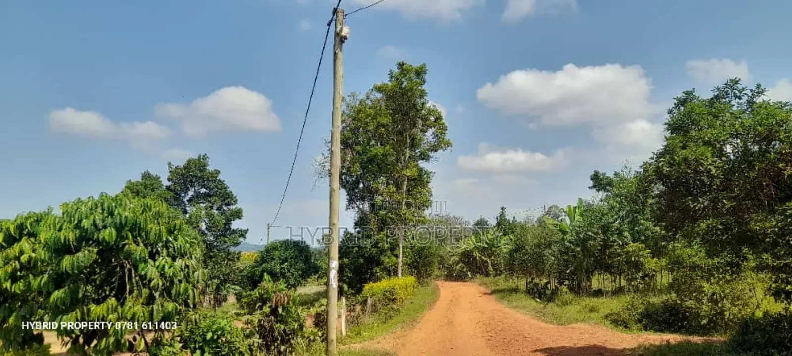 Prime Plots for Sale at Mpigi~Lungala [Bunamweeri]~Masaka Rd