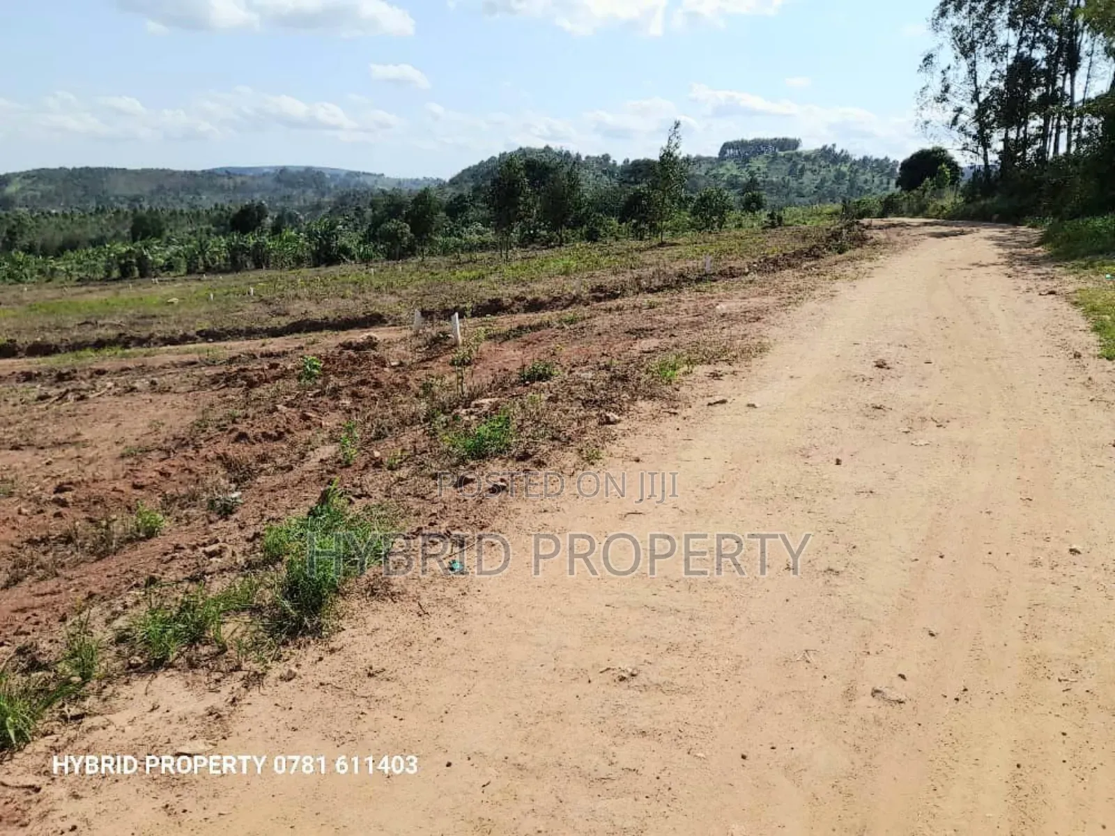 Prime Plots for Sale at Nampunge~Katiiti Town Estat~Hoima Rd