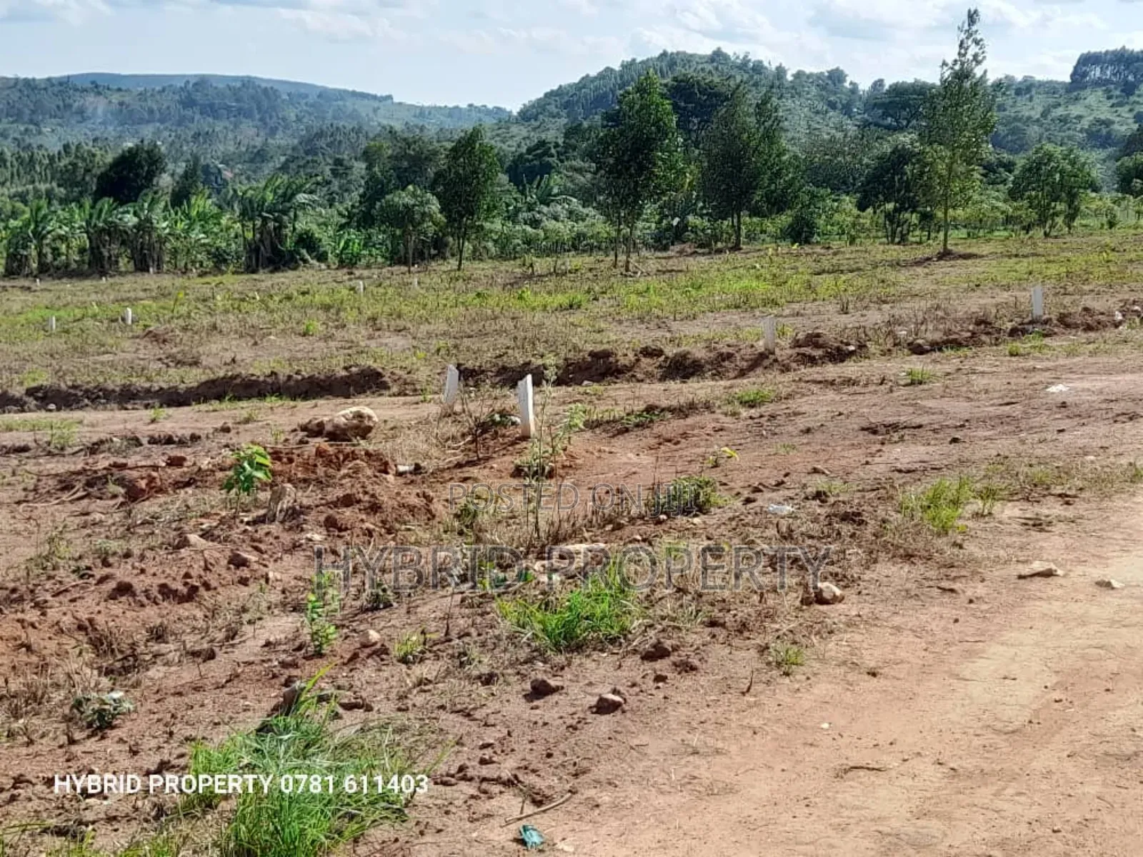 Prime Plots for Sale at Nampunge~Katiiti Town Estat~Hoima Rd