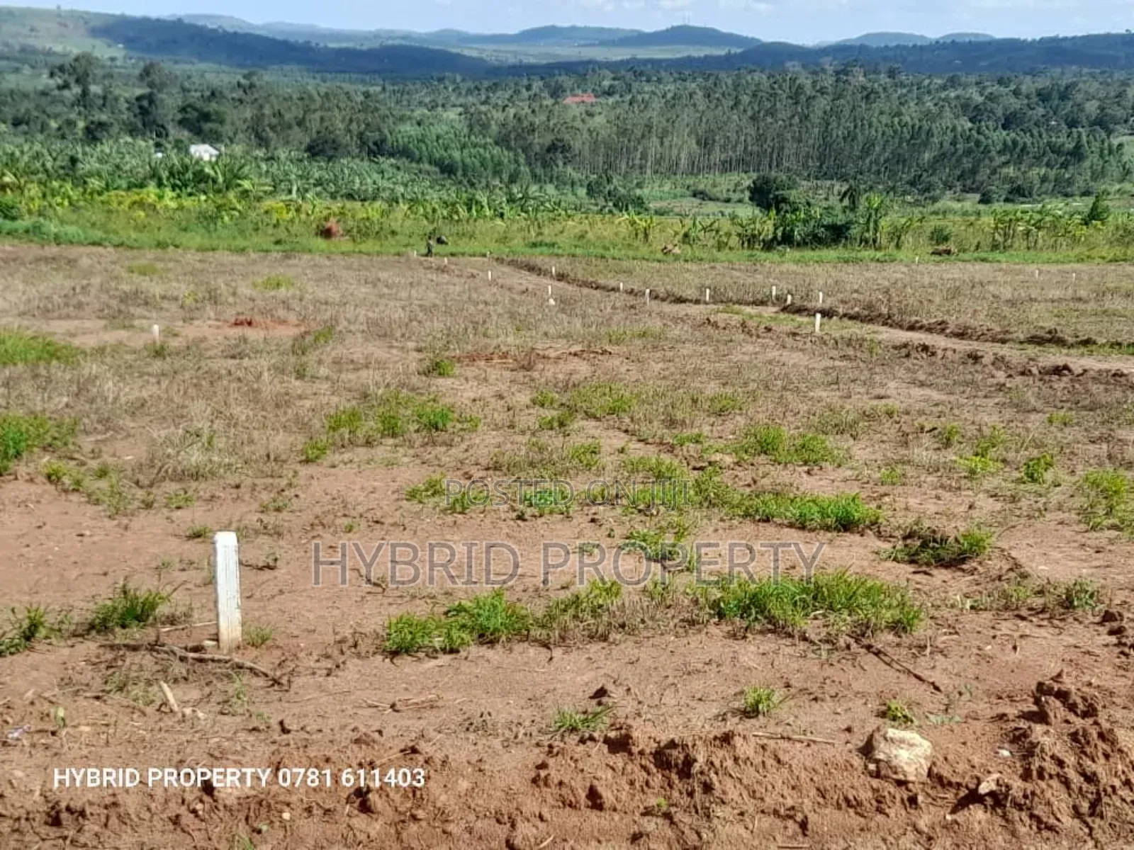 Prime Plots for Sale at Nampunge~Katiiti Town Estat~Hoima Rd