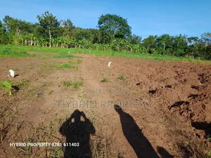 Prime Plots for Sale at Katende~Namulamuzi Estate~Masaka Rd.
