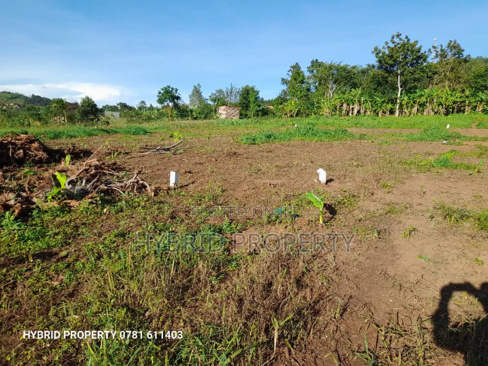 Prime Plots for Sale at Katende~Namulamuzi Estate~Masaka Rd.