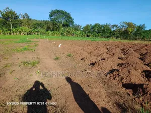 Prime Plots for Sale at Katende~Namulamuzi Estate~Masaka Rd.