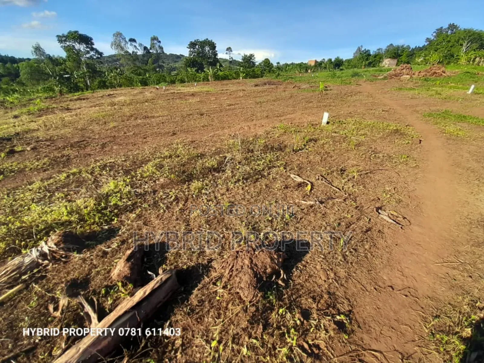 Prime Plots for Sale at Katende~Namulamuzi Estate~Masaka Rd.