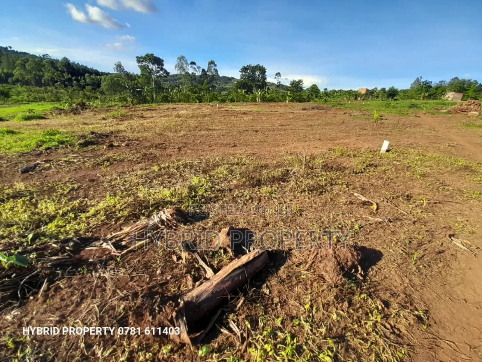 Prime Plots for Sale at Katende~Namulamuzi Estate~Masaka Rd.
