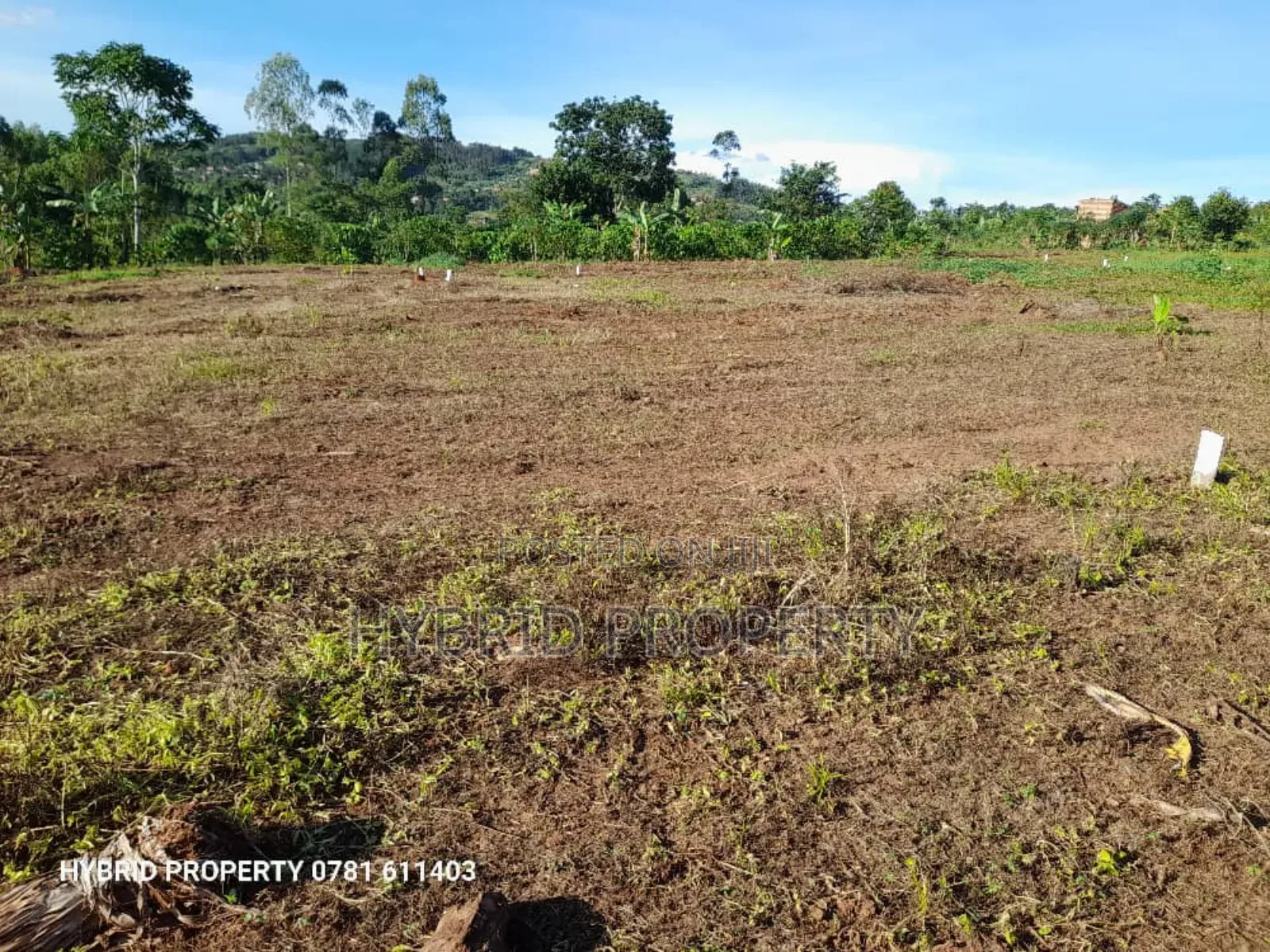 Prime Plots for Sale at Katende~Namulamuzi Estate~Masaka Rd.