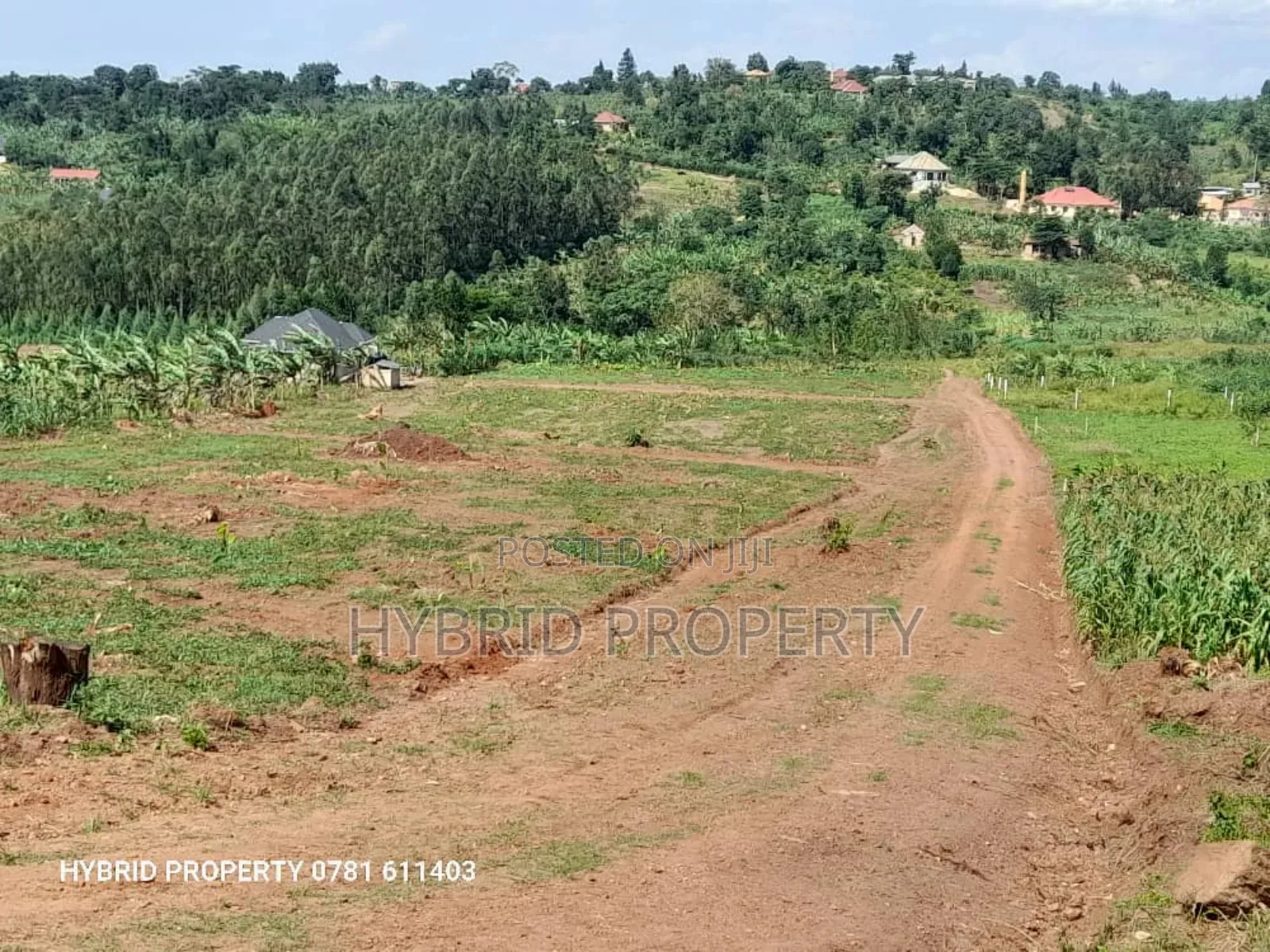 Prime Plots for Sale at Gobero~Muguluka Elite Estat~Hoima Rd
