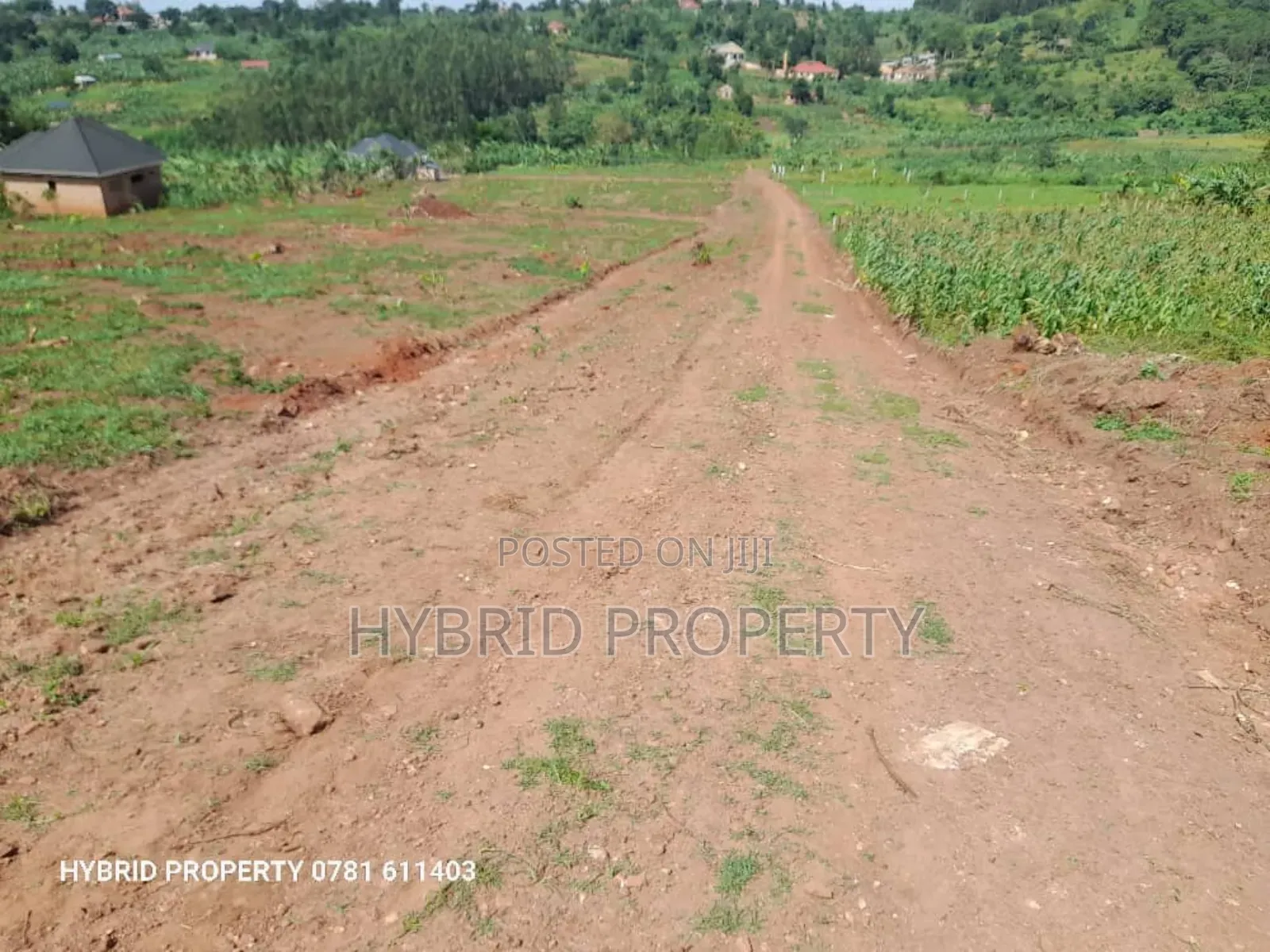 Prime Plots for Sale at Gobero~Muguluka Elite Estat~Hoima Rd