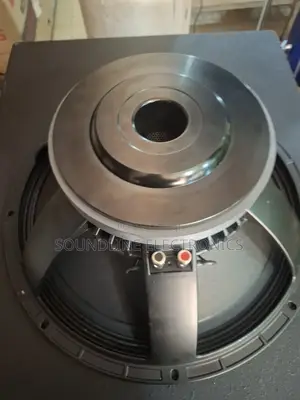 Naked Speaker/Woofer