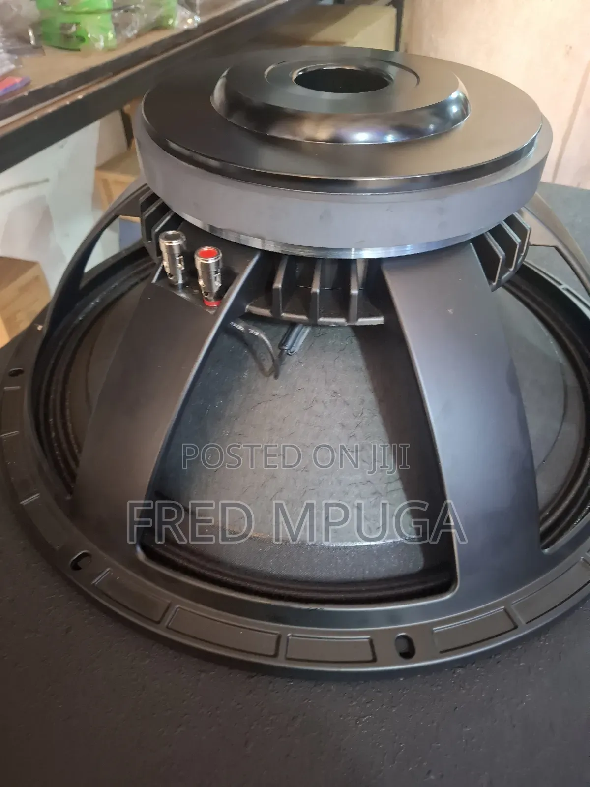 Naked Speaker/Woofer