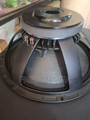 Naked Speaker/Woofer