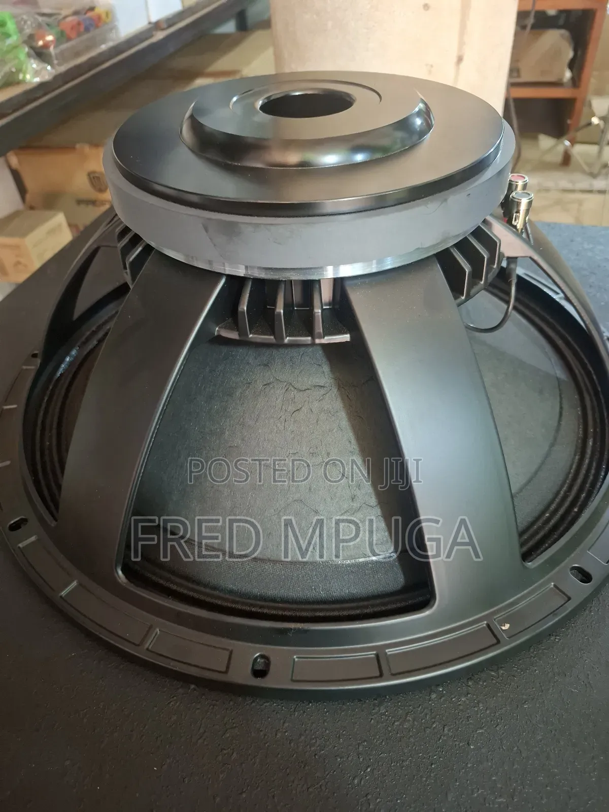 Naked Speaker/Woofer