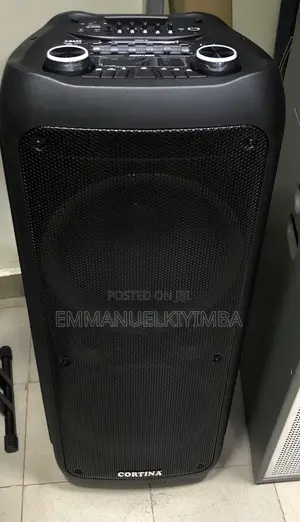 Rechargable 12inch Speaker With Karaoke