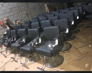 Dynamic Salon Chair Salon Chair