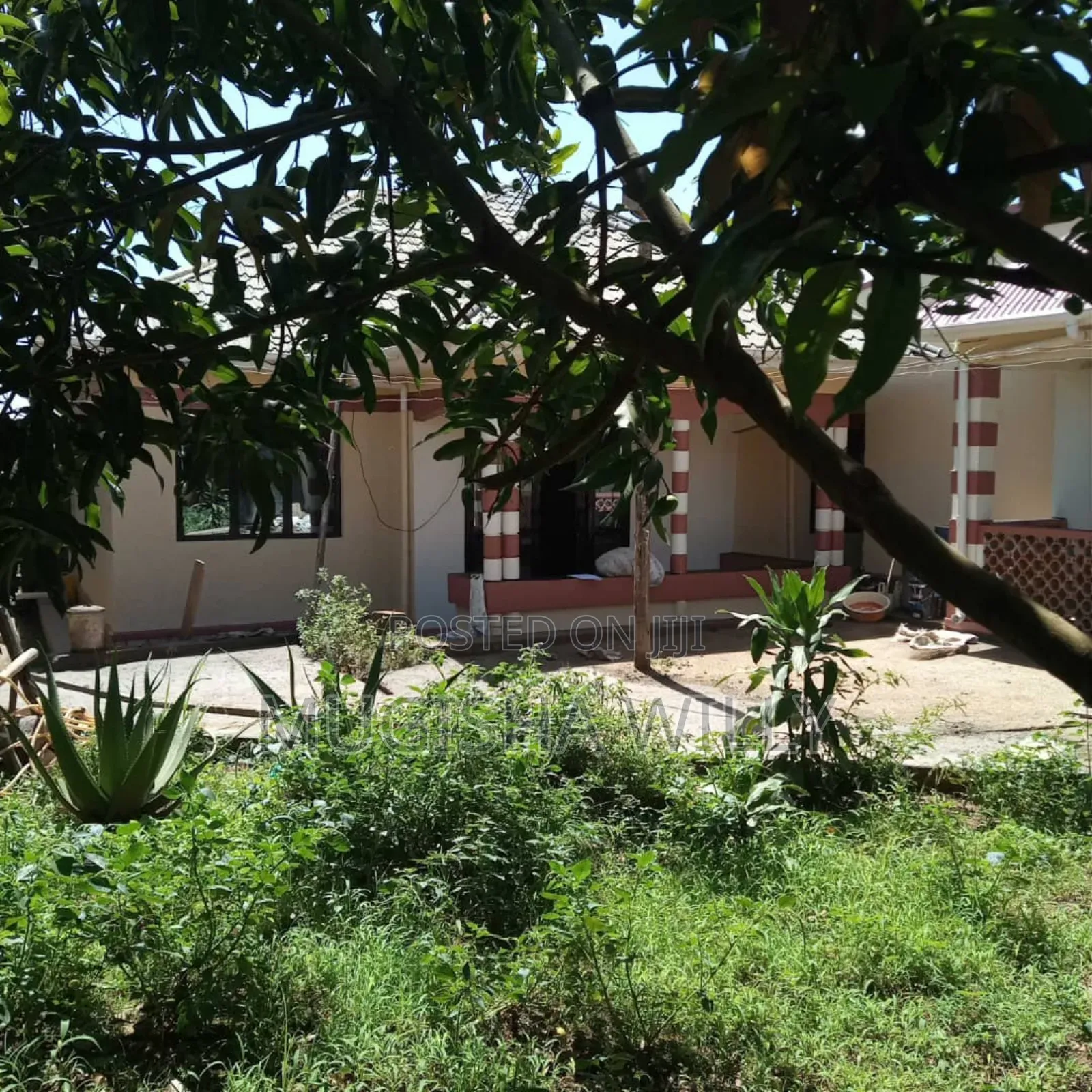 Houses for Sale at 250m