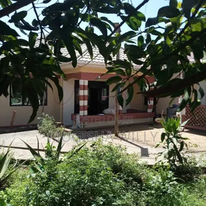Houses for Sale at 250m