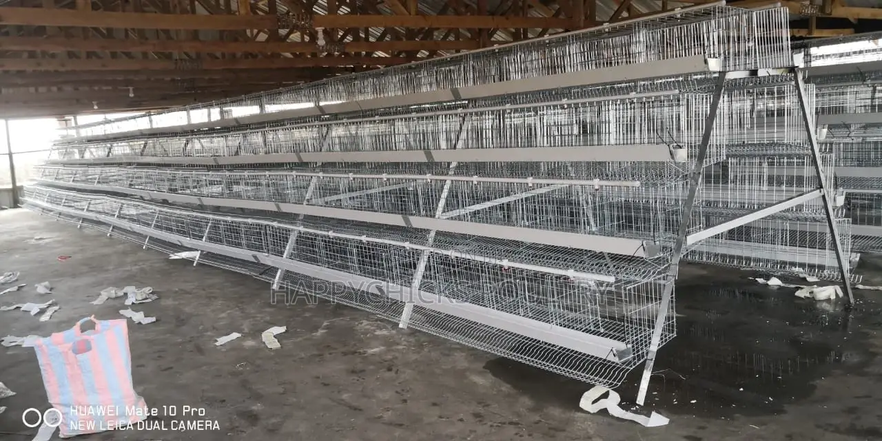 Layer Cages