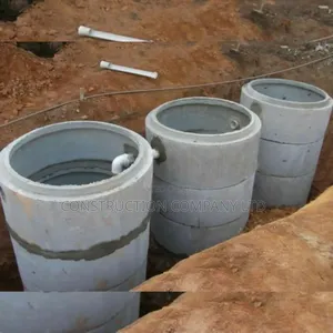 Biodigester Best for You
