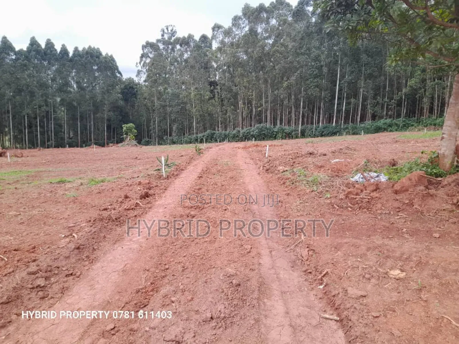 Prime Plots for Sale at Wakiso~Mubango Modern View Estate Ii