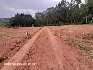 Prime Plots for Sale at Wakiso~Mubango Modern View Estate Ii