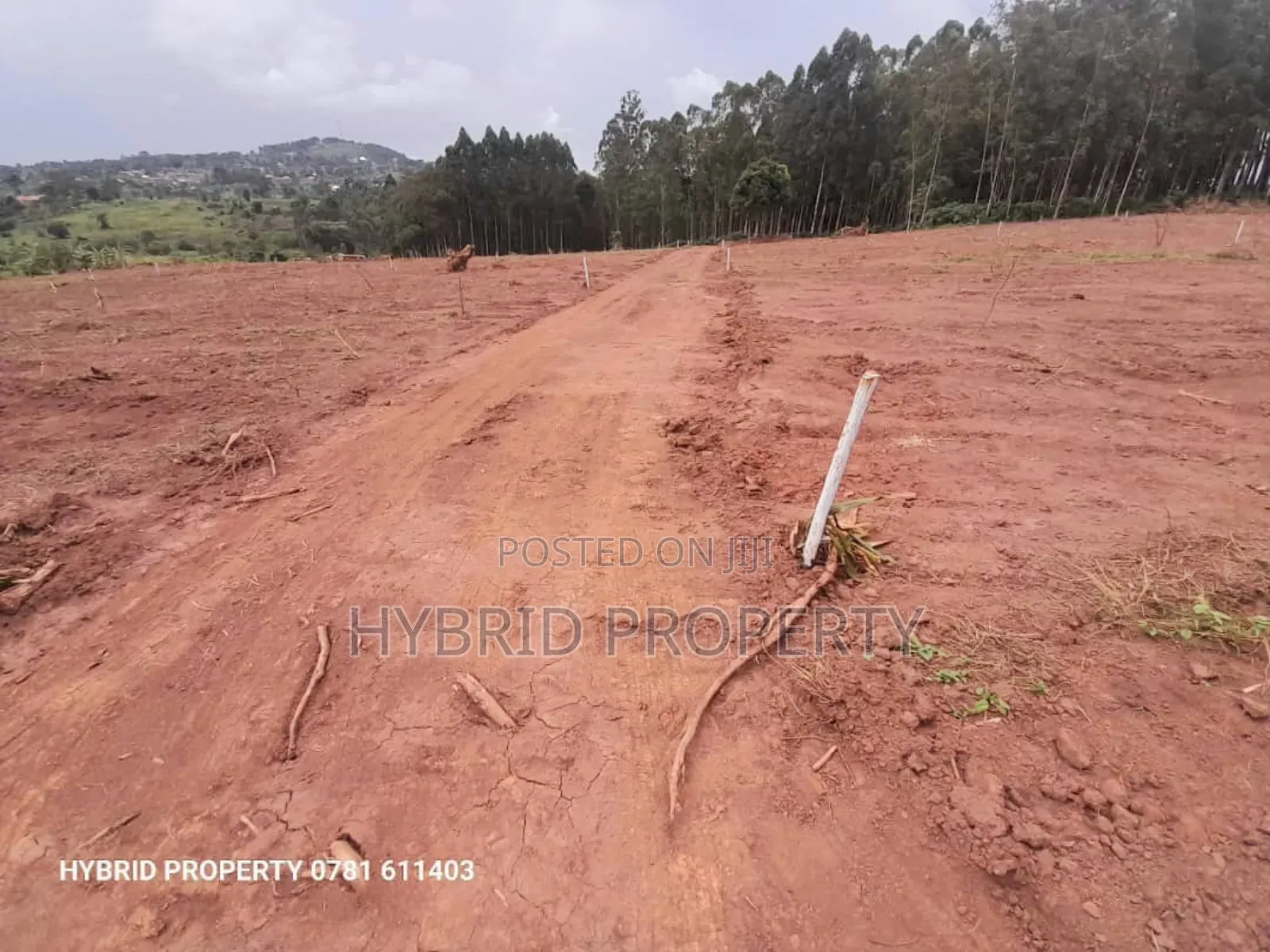 Prime Plots for Sale at Wakiso~Mubango Modern View Estate Ii