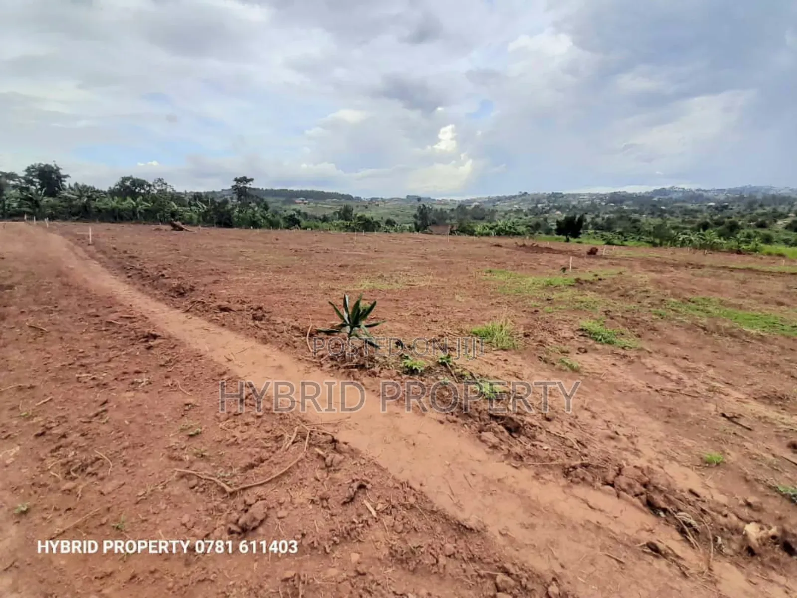 Prime Plots for Sale at Wakiso~Mubango Modern View Estate Ii