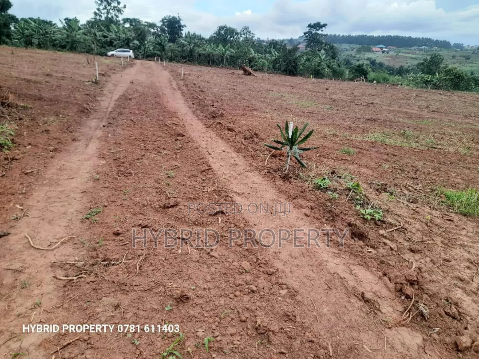 Prime Plots for Sale at Wakiso~Mubango Modern View Estate Ii