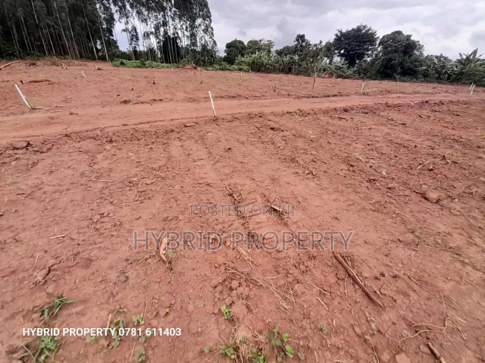 Prime Plots for Sale at Wakiso~Mubango Modern View Estate Ii